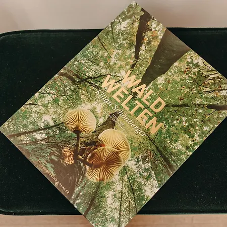 アパート Muehls バート・ラウターベルク